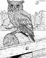 Great Owl Horned Coloring Realistic Pages Getcolorings Printable Col Bird sketch template