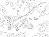 Lizard Draco Xianglong Ausmalbild Echsen Ausdrucken sketch template