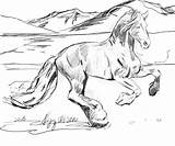 Horse Coloring Pages Wild Realistic Printable Real Print Color Drawing Hard Herd Cowboy Horses Appaloosa Running Unicorn Something Getcolorings Different sketch template