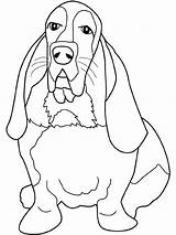 Basset Hound Coloring Chien Kleurplaten Beagle Bassett Biegel Kleurplaat Assis Honden Gratuit Cani Hunde Malvorlage Colorare sketch template
