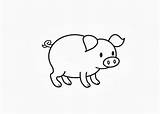 Coloring Pig Cartoon Pages Kids Books sketch template