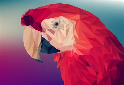 polygon  poly bird parrot abstract facets  ultra hd