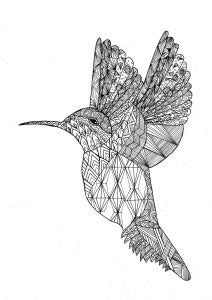 birds coloring pages  adults bird coloring pages printable