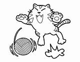 Dibujo Para Colorear Gato Juguetón Coloring Playful Coloringcrew Cat Dibujos sketch template