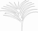 Palm Coloring Branch Craft Pattern Paper Leaves Jesus Pages Jerusalem Branches Library Clipart Enters Activity Grass Popular sketch template