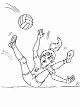 Volley Imprime Partage Télécharge sketch template