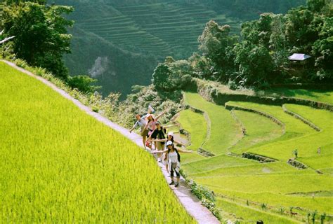 The 2000 Year Old Ifugao Rice Terraces A True Staircase To Heaven
