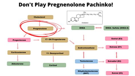 Pregnenolone Do We Need To Be Taking It Scott Resnick Md