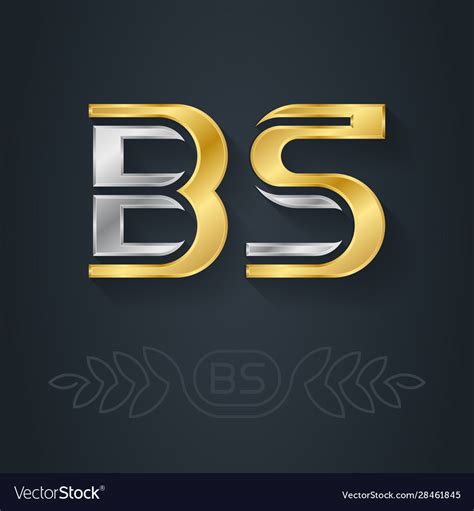 initials bs metallic  icon  vector image