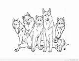 Coloring Wolf Drawing Family Pack Pages Anime Printable Template Realistic Wolves Unknown Print Drawings Animal Werewolf sketch template