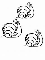 Snails Colouring Pages Coloringpage Ca Coloring Colour Check Category sketch template