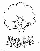 Coloring Pages Tree Spring Tulips Seasons Gif sketch template
