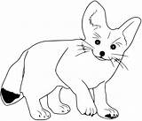 Fennec Foxes sketch template