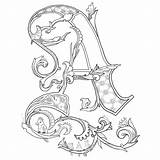 Illuminated Letters Alphabet Coloring Fancy Lettering Letter Pages Medieval Visit Adults Calligraphy sketch template