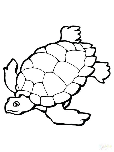 sea turtle printable coloring pages  getcoloringscom