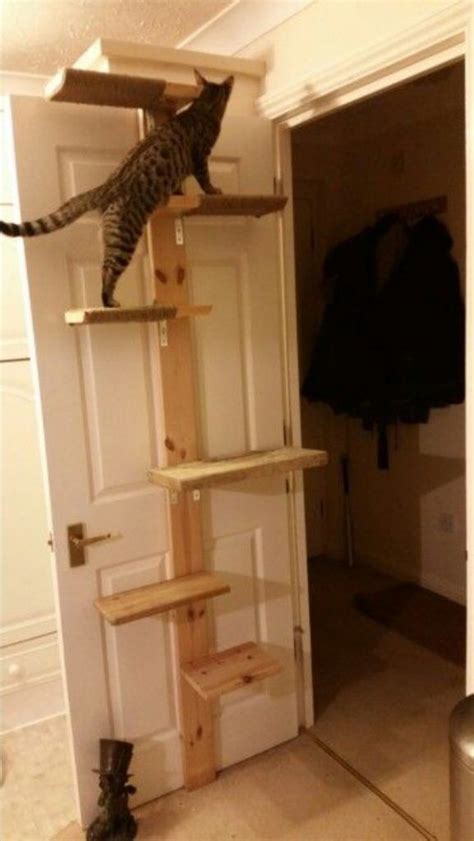 cat projects page  woodworkerz cat tree plans cool cat trees diy cat tree