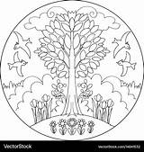 Mandala Spring Tree Vector Vectorstock Royalty sketch template