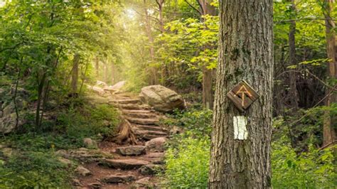 hiking the appalachian trail 15 tips for a first timer