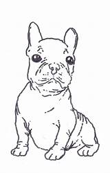 Terrier Bulldog French Colouring Examples Puppy Jenis Getdrawings Dxf Bord sketch template