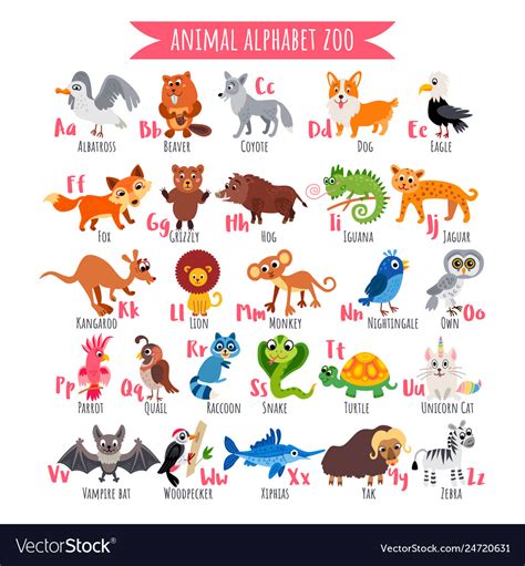 zoo alphabet   animal alphabet poster royalty  vector