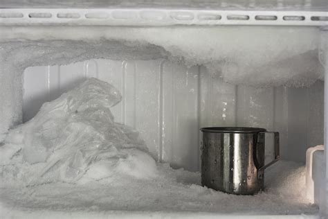 frost build    freezer wilshire refrigeration