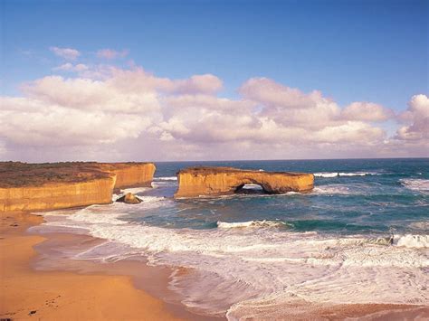 coastal attractions nature and wildlife great ocean road