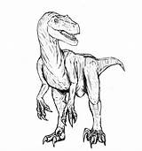 Raptor Velociraptor Jurassic Coloring Pages Dinosaur Sketch Park Printable Color Getcolorings Print Kids Colorin Sheets Paintingvalley Yahoo Choose Board Search sketch template