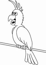 Parrot Coloring Cartoon Pages Supercoloring Printable Categories Drawing sketch template