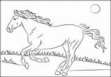 Mustang Horse Pages Coloring Rearing Getcolorings Horses Color sketch template