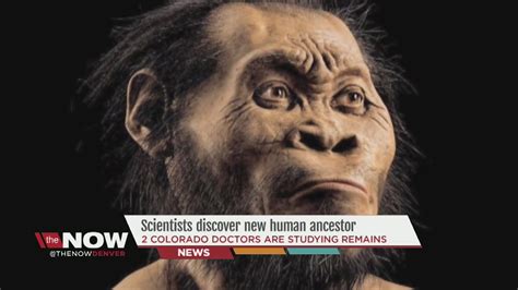 scientists discover  human ancestor youtube