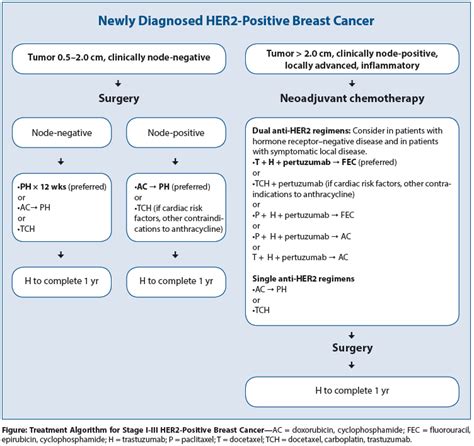 Her2 Targeted Therapy For Early Stage Breast Cancer A Comprehensive Review