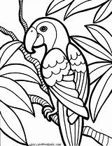 Coloring Pages Medium Getcolorings sketch template