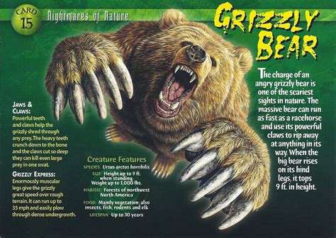 grizzly bear weird  wild creatures wiki fandom