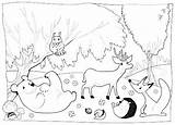 Coloring Pages Woodland Getcolorings Forest sketch template