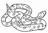 Anaconda Coloring Snake Drawing Mother Pages Sheet Getdrawings Kids Drawings sketch template