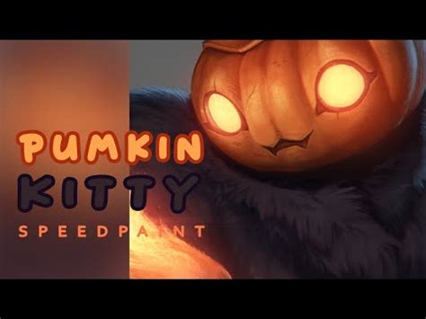 pumpkin kitty time lapse youtube