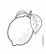 Coloring Pages Lemon Fruit Printable Kids Print Printables sketch template