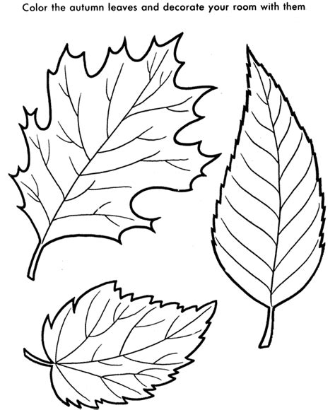 leaves printable coloring pages printable world holiday
