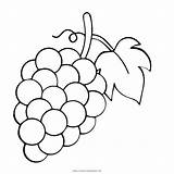Uvas Uva Trauben Ausmalbilder Grape Grapes Thenounproject Ultracoloringpages sketch template