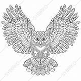 Coloring Owl Adult Adults Pages Zentangle Tattoo Book Cartoon Animal Vector Eagle Background Printable Doodle Antistress Isolated Emblem Stylized Drawn sketch template