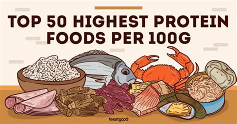 Top 50 Highest Protein Foods Per 100g Infographic