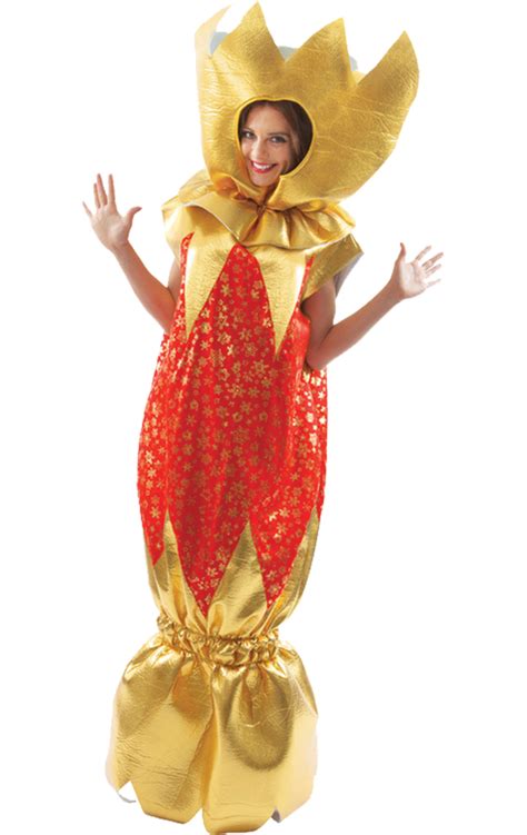 christmas cracker costume simply fancy dress