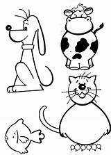 Vaca Bichinhos Fofinhos Domesticos Fofos Pisica Caine Bichos Legais Colorat Peste Animale sketch template