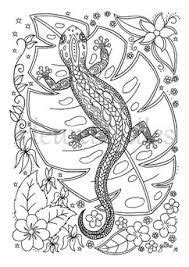 animal mandala lizard mandala printable animals coloring pages