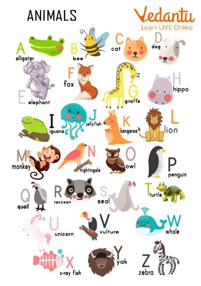 animal names learn  examples  kids