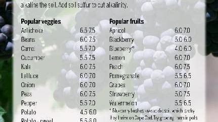 chart  ph levels  fruits  vegetables