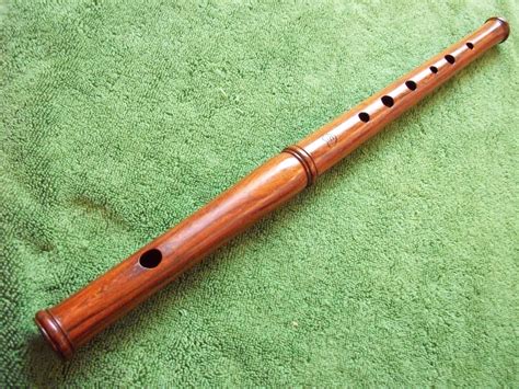 pin  julia marie sparrow   folk  irish flute fife