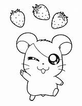 Hamtaro Coloring Pages Kids การ เข ชม sketch template