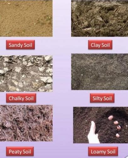 lesson plan  types  soil general science grade