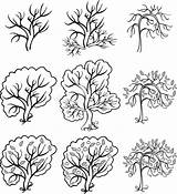 Vector Illustration Bush Trees Apple Coloring Tree Preview sketch template